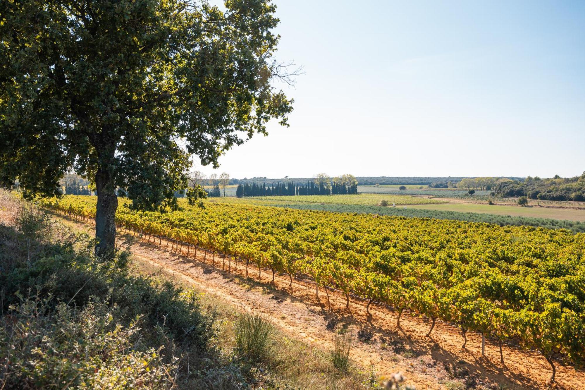 Domaine De Panery Ξενοδοχείο Pouzilhac Εξωτερικό φωτογραφία